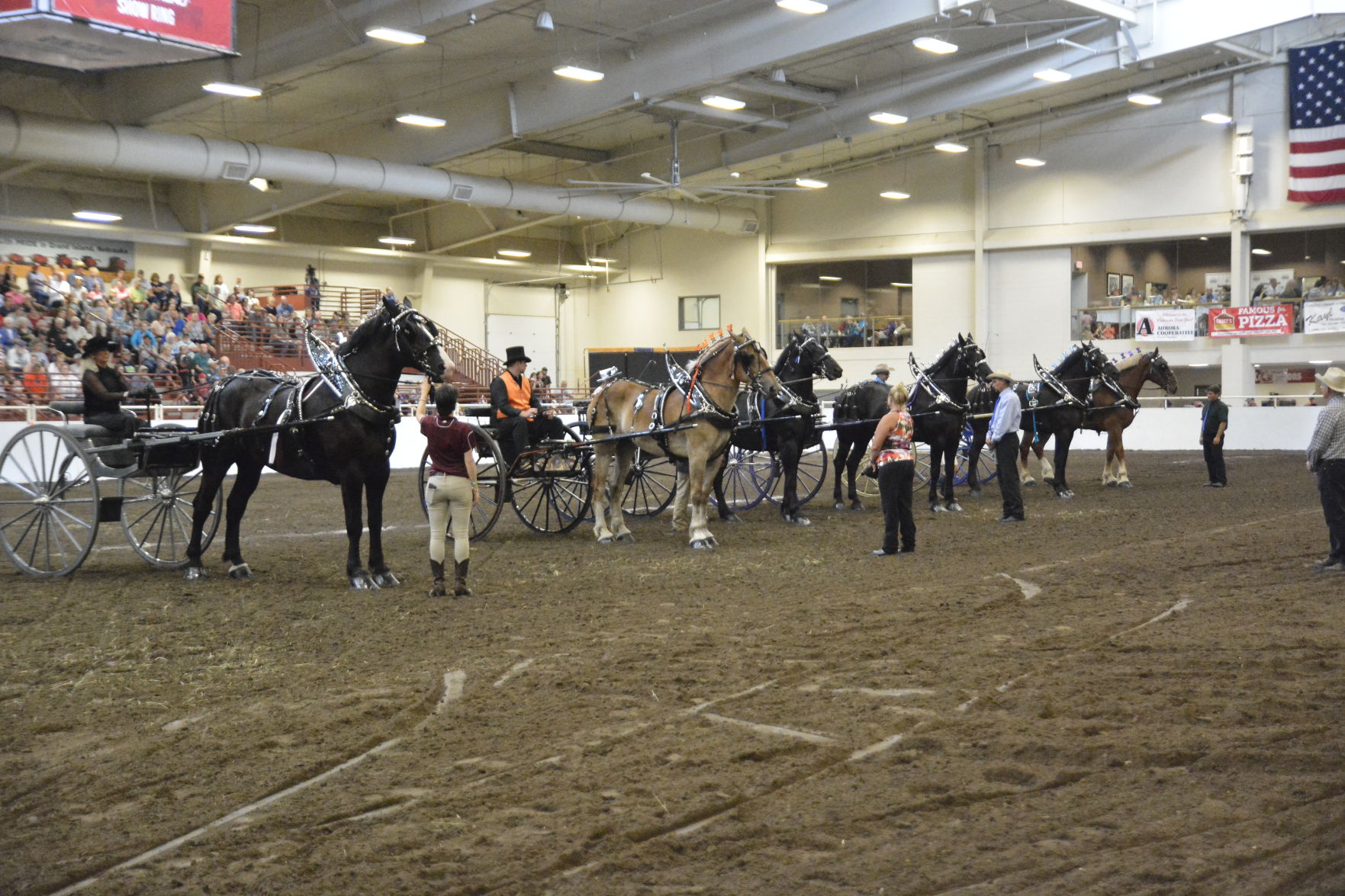 8-25-19 Draft Horse Hitch Final (133).JPG